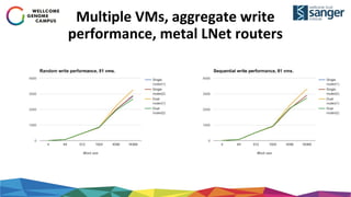 Multiple VMs, aggregate write
performance, metal LNet routers
 