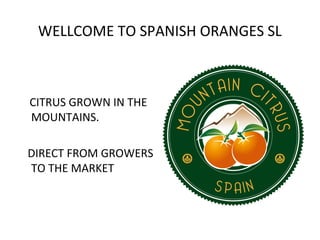 WELLCOME TO SPANISH ORANGES SL
CITRUS GROWN IN THE
MOUNTAINS.
DIRECT FROM GROWERS
TO THE MARKET
 