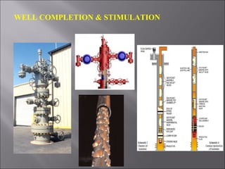 WELL COMPLETION & STIMULATION

 