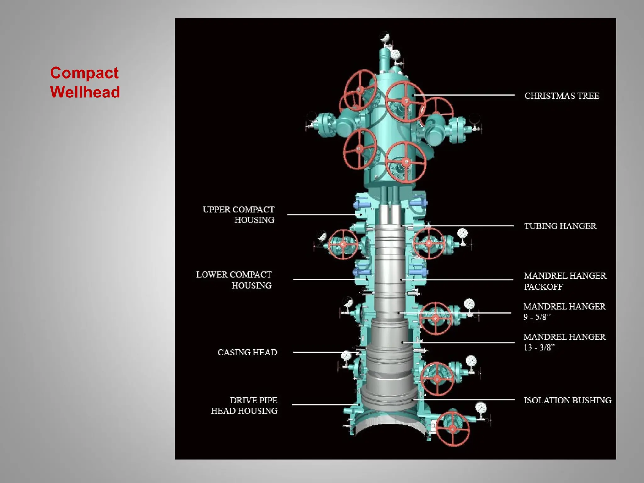 Compact
Wellhead
 