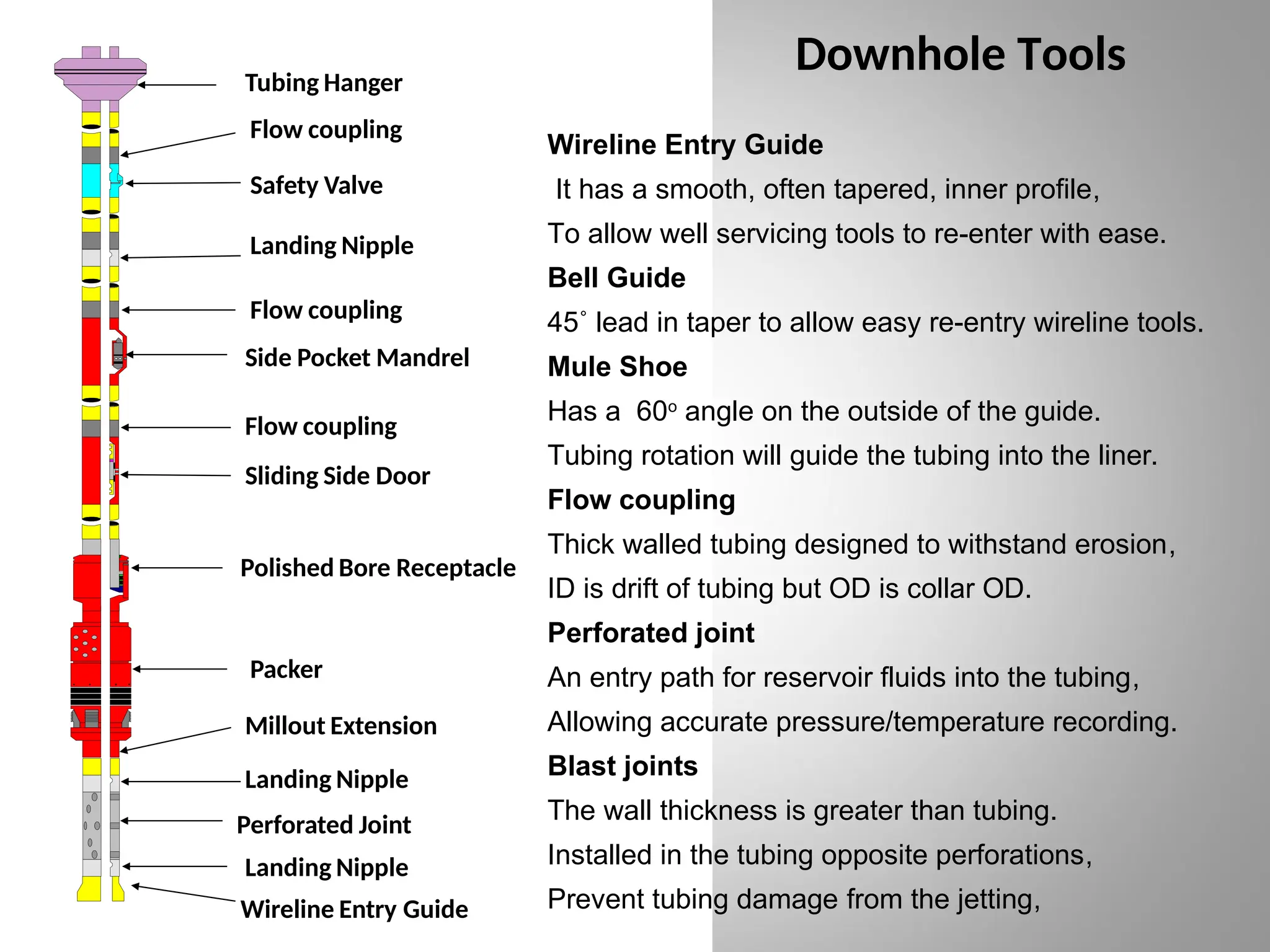Downhole Tools
Tubing Hanger
Flow coupling
Safety Valve
Landing Nipple
Flow coupling
Side Pocket Mandrel
Flow coupling
Sliding Side Door
Packer
Millout Extension
Perforated Joint
Polished Bore Receptacle
Landing Nipple
Landing Nipple
Wireline Entry Guide
Wireline Entry Guide
It has a smooth, often tapered, inner profile,
To allow well servicing tools to re-enter with ease.
Bell Guide
45˚ lead in taper to allow easy re-entry wireline tools.
Mule Shoe
Has a 60o
angle on the outside of the guide.
Tubing rotation will guide the tubing into the liner.
Flow coupling
Thick walled tubing designed to withstand erosion,
ID is drift of tubing but OD is collar OD.
Perforated joint
An entry path for reservoir fluids into the tubing,
Allowing accurate pressure/temperature recording.
Blast joints
The wall thickness is greater than tubing.
Installed in the tubing opposite perforations,
Prevent tubing damage from the jetting,
 