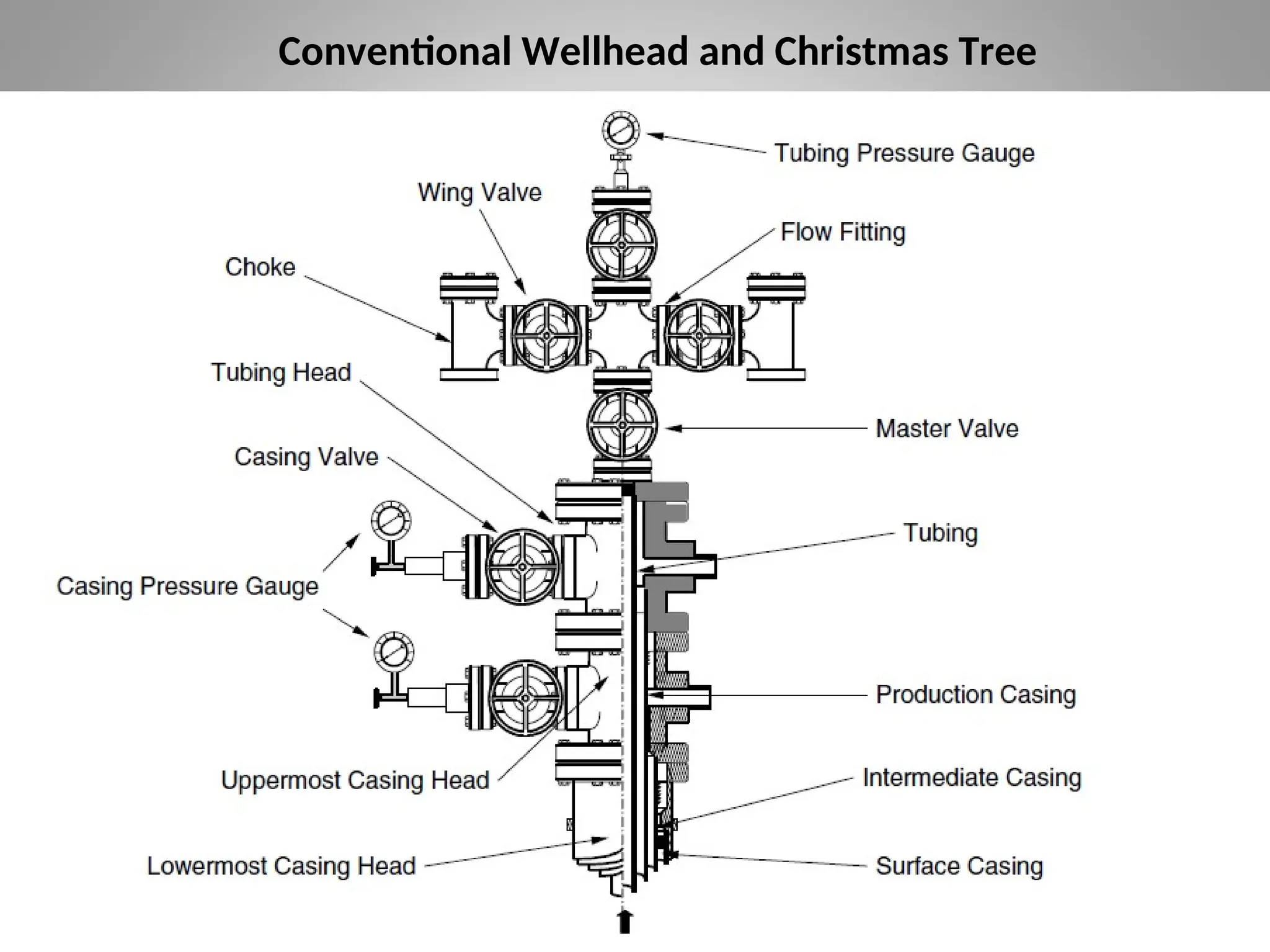 Conventional Wellhead and Christmas Tree
 