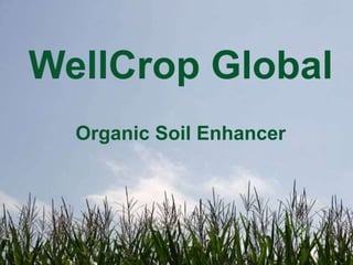 WellCrop Global
Organic Soil Enhancer
 