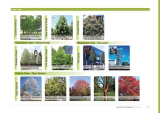 Phase 1 - Trees




                  WELLESLEY, ALDERSHOT | GRAINGER   27
 