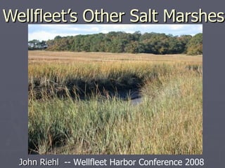 Wellfleet’s Other Salt Marshes John Riehl   -- Wellfleet Harbor Conference 2008 