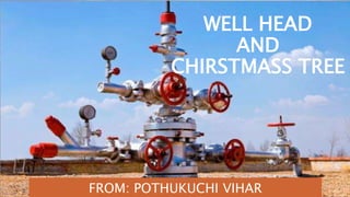 WELL HEAD
AND
CHIRSTMASS TREE
FROM: POTHUKUCHI VIHAR
 