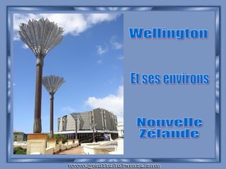 Wellington Et ses environs Nouvelle Zélande 