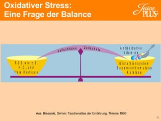 Oxidativer Stress:  Eine Frage der Balance Aus: Biesalski, Grimm: Taschenatlas der Ernährung, Thieme 1999 