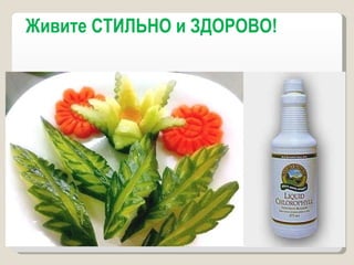 Живите СТИЛЬНО и ЗДОРОВО!  