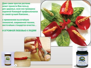 Даже самое простое растение  может принести Вам пользу  для здоровья, если оно проверено надежной Командой профессионалов  из самой лучшей Компании…  с применением высочайших технологий, современной техники, жесточайших стандартов качества… И ОГРОМНОЙ ЛЮБОВЬЮ К ЛЮДЯМ!  