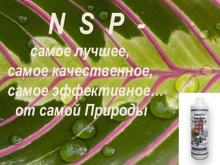 a     N  S  P  - самое лучшее,  самое качественное,  самое эффективное… от самой Природы  