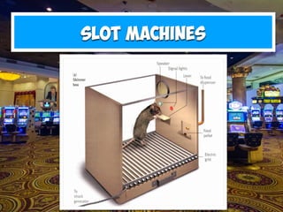 Slot machines
 