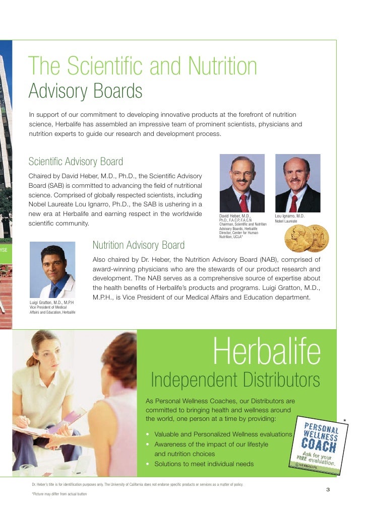 wellness brochure energy health nutrition foods weight loss pla