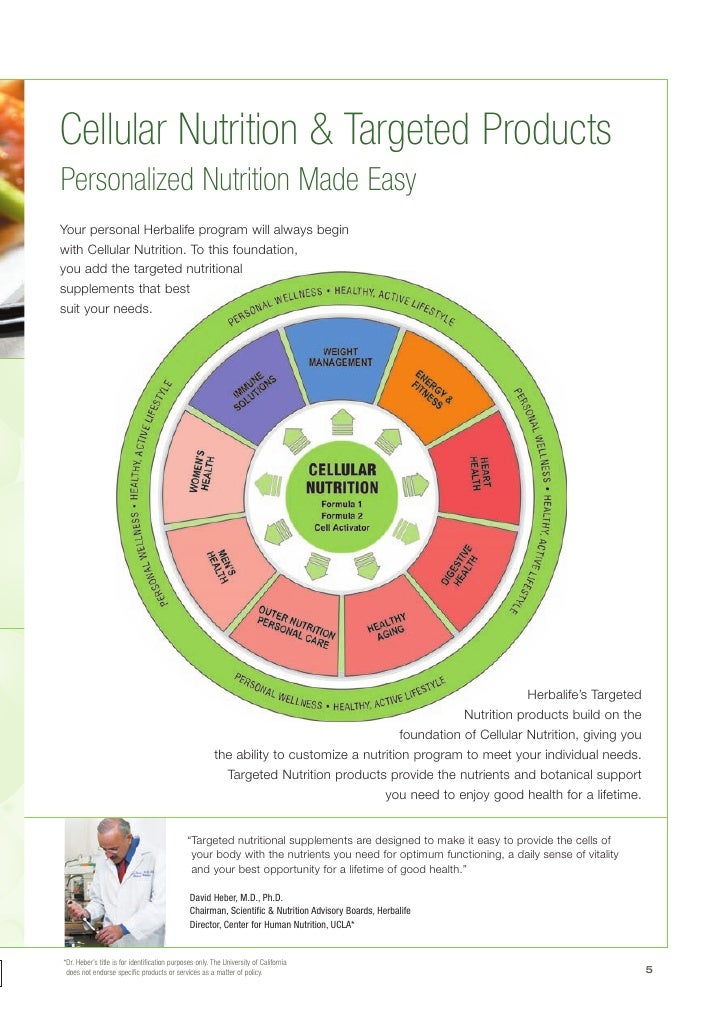 wellness brochure energy health nutrition foods weight loss pla