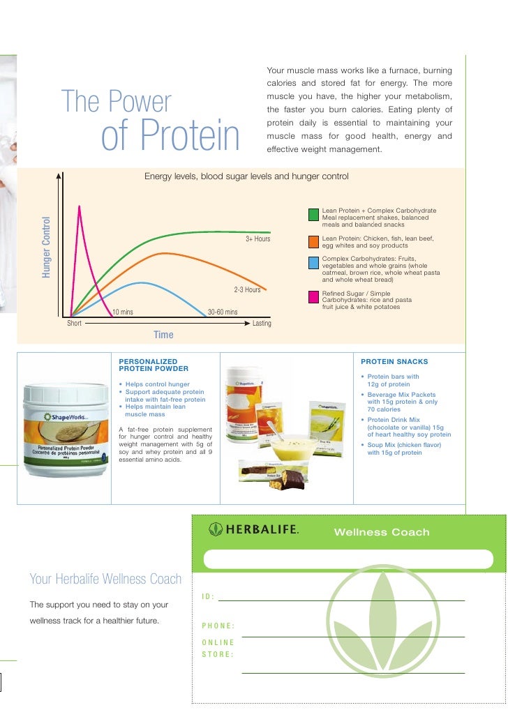 Wellness Brochure. Energy, health, nutrition, foods ...