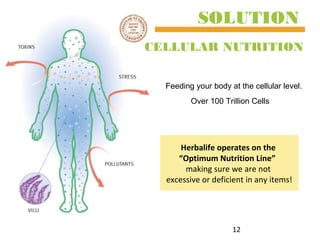 12
SOLUTION
Herbalife operates on the
“Optimum Nutrition Line”
making sure we are not
excessive or deficient in any items!
CELLULAR NUTRITION
Feeding your body at the cellular level.
Over 100 Trillion Cells
 