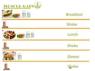 MUSCLE GAIN
36
Breakfast
Lunch
Dinner
Shake
Shake
Shake
 