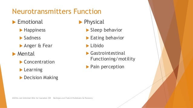 Understanding the Mind-Body Connection: The Interaction Between Neuro…