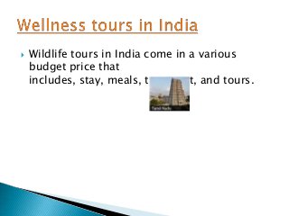 

Wildlife tours in India come in a various
budget price that
includes, stay, meals, transport, and tours.

 