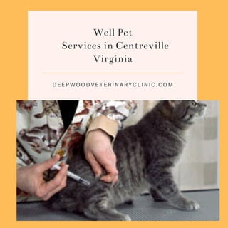 Well Pet
Services in Centreville
Virginia
D E E P W O O D V E T E R I N A R Y C L I N I C . C O M
 