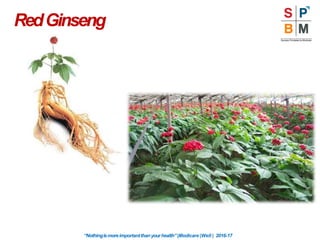 RedGinseng
“Nothingismoreimportantthanyourhealth”|Modicare |Well | 2016-17
 