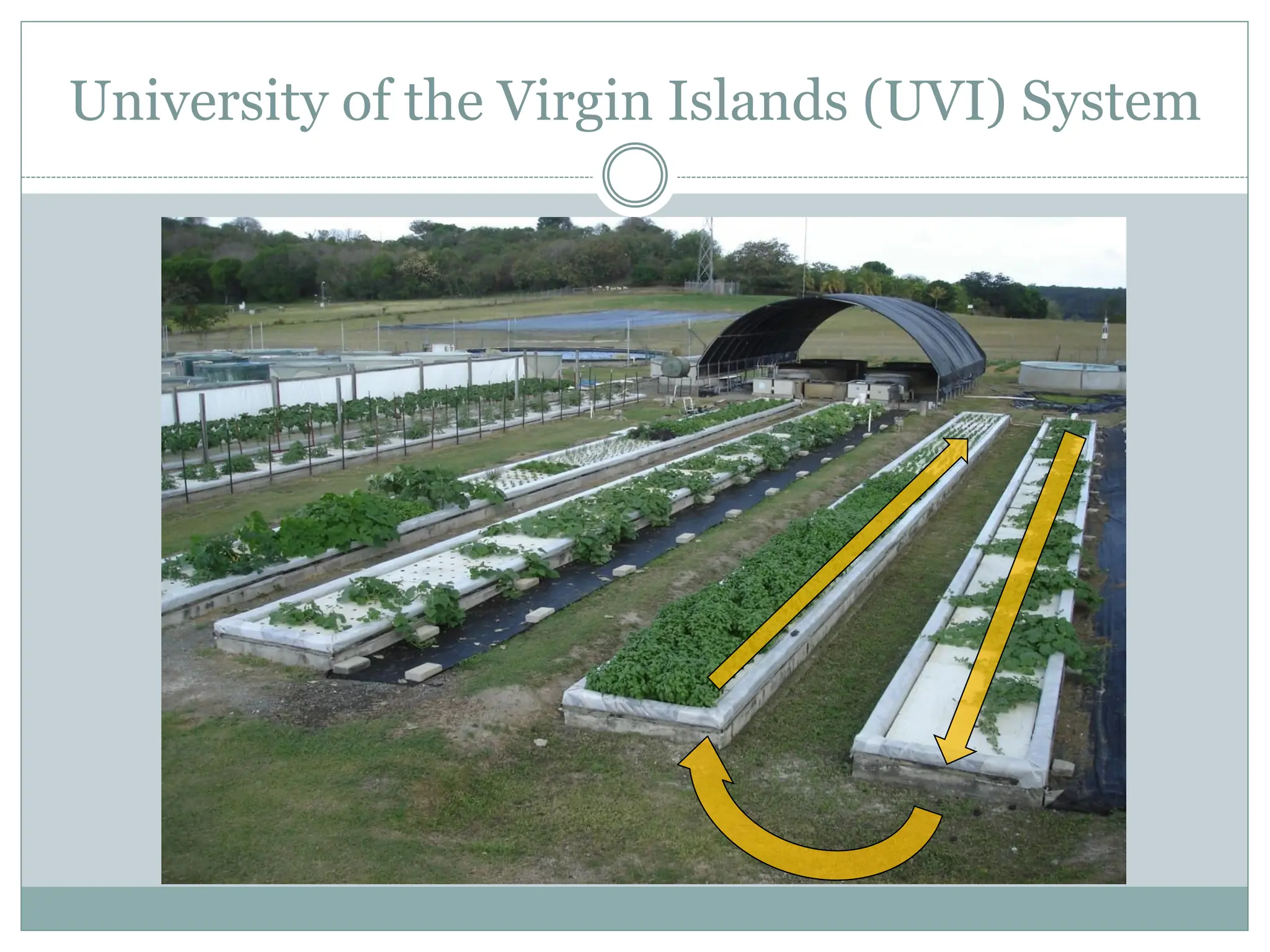 University of the Virgin Islands (UVI) System
 