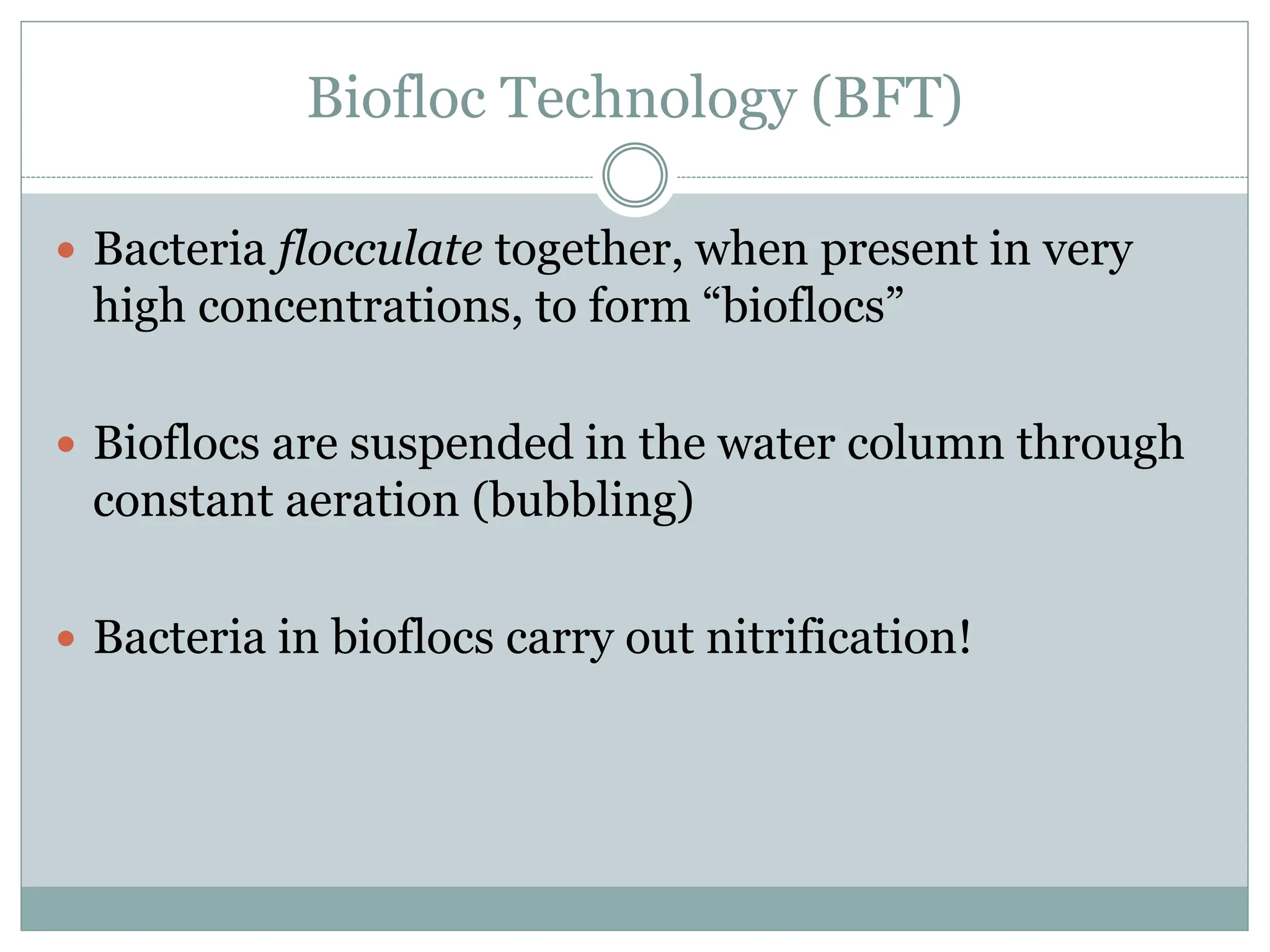 Biofloc Technology (BFT)
 Bacteria flocculate together, when present in very
high concentrations, to form “bioflocs”
 Bioflocs are suspended in the water column through
constant aeration (bubbling)
 Bacteria in bioflocs carry out nitrification!
 