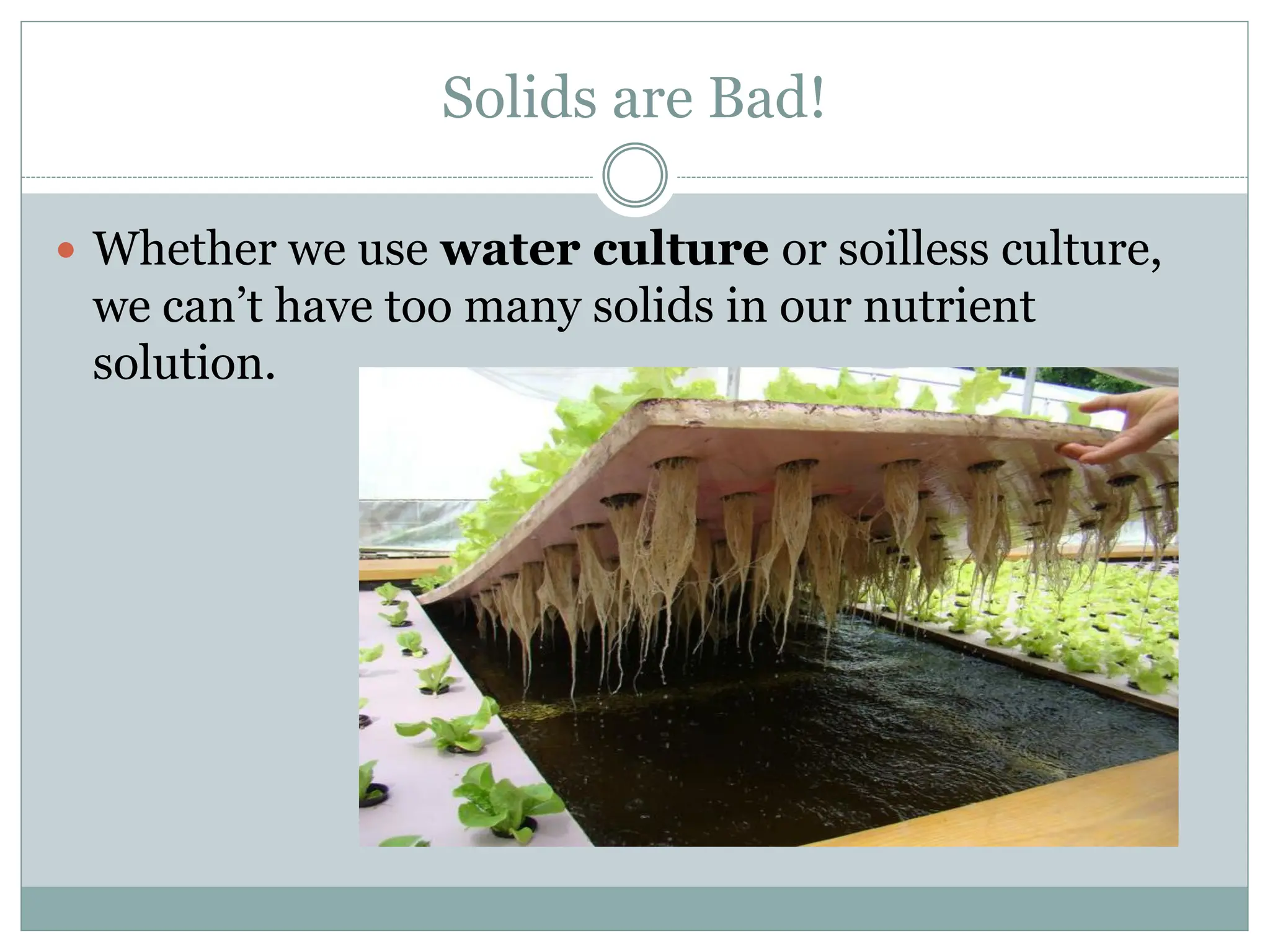 Solids are Bad!
 Whether we use water culture or soilless culture,
we can’t have too many solids in our nutrient
solution.
 