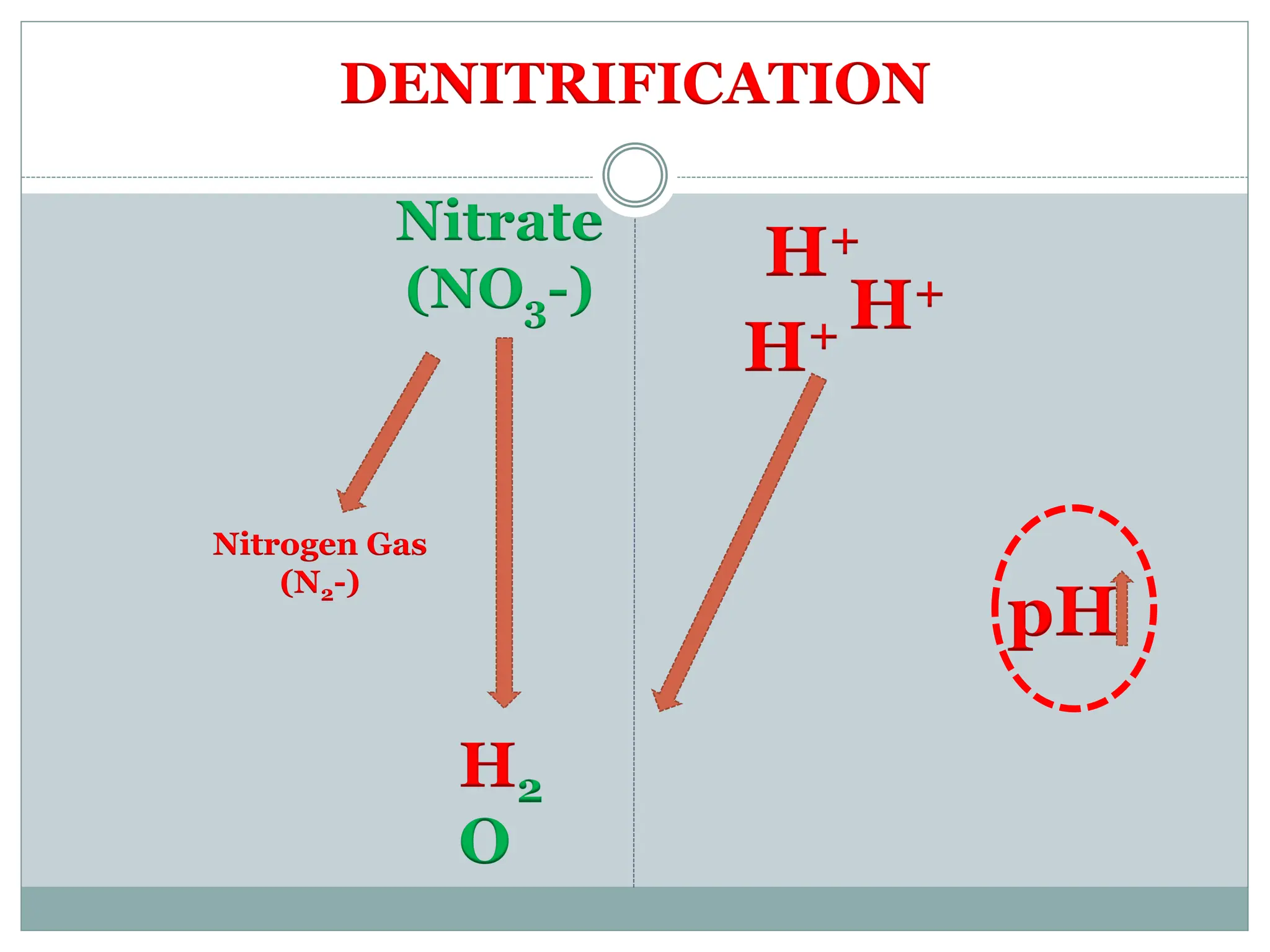 DENITRIFICATION
Nitrogen Gas
(N2-)
Nitrate
(NO3-)
H+
H+ H+
pH
H2
O
 