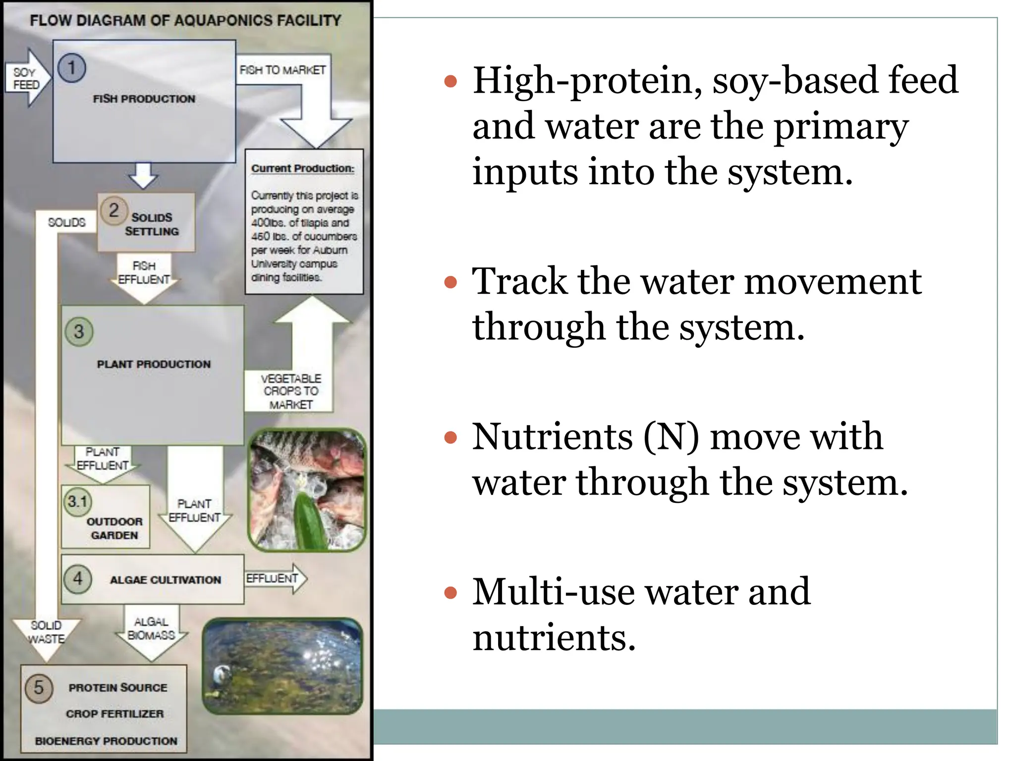  High-protein, soy-based feed
and water are the primary
inputs into the system.
 Track the water movement
through the system.
 Nutrients (N) move with
water through the system.
 Multi-use water and
nutrients.
 