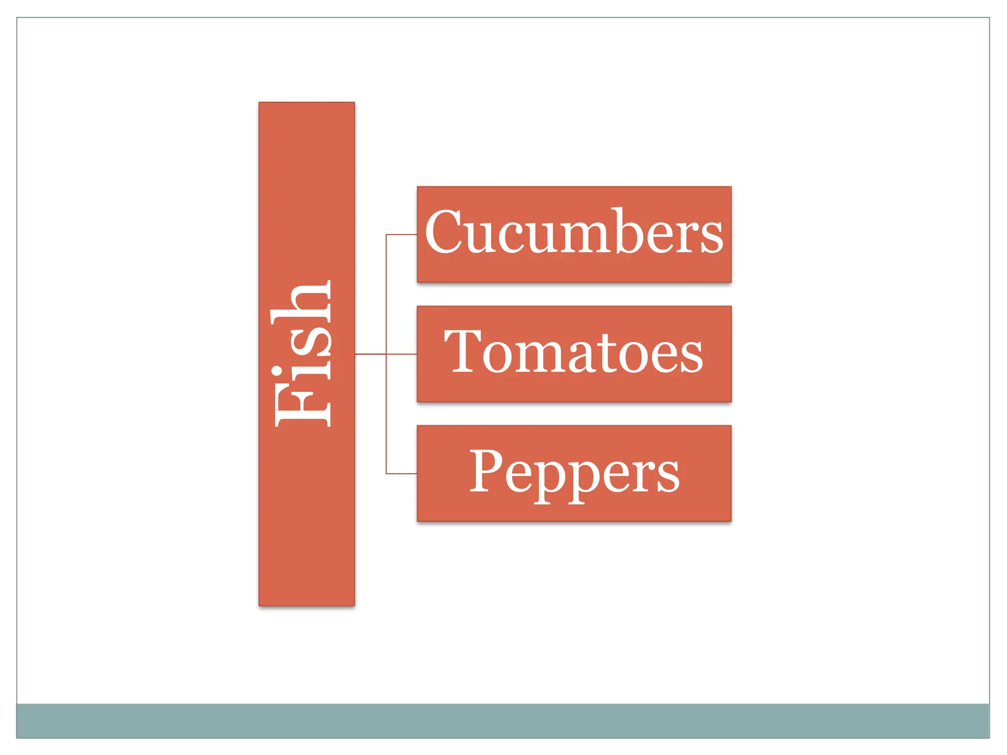 Fish
Cucumbers
Tomatoes
Peppers
 
