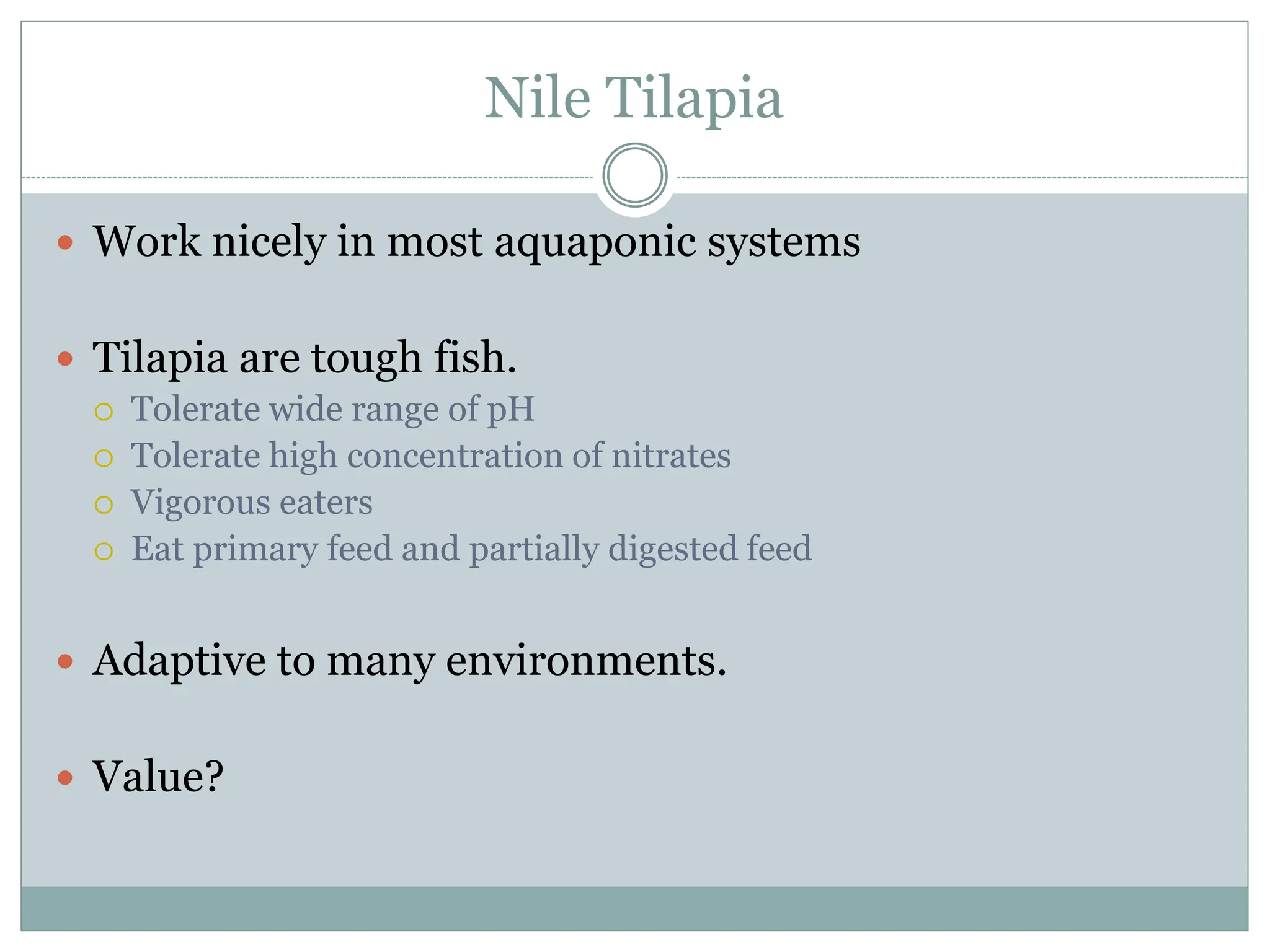 Nile Tilapia
 Work nicely in most aquaponic systems
 Tilapia are tough fish.
 Tolerate wide range of pH
 Tolerate high concentration of nitrates
 Vigorous eaters
 Eat primary feed and partially digested feed
 Adaptive to many environments.
 Value?
 