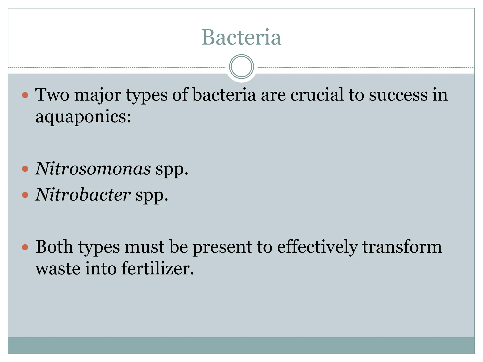 Bacteria
 Two major types of bacteria are crucial to success in
aquaponics:
 Nitrosomonas spp.
 Nitrobacter spp.
 Both types must be present to effectively transform
waste into fertilizer.
 