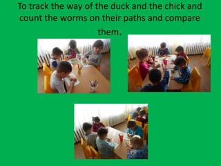 To track the way of the duck and the chick and
count the worms on their paths and compare
them.
 