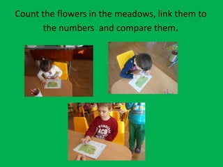 Count the flowers in the meadows, link them to
the numbers and compare them.
 
