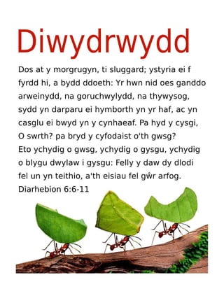 Welsh Motivational Diligence Tract.pdf