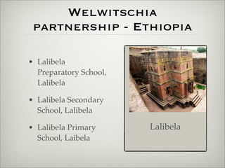 Welwitschia Partnership