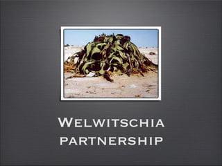 Welwitschia
partnership
