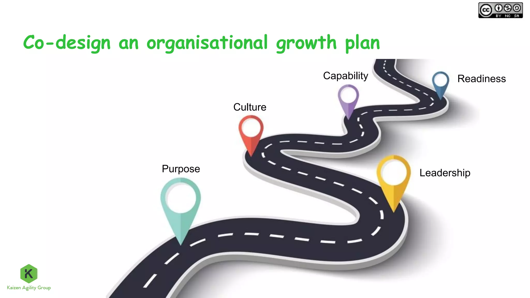 Co-design an organisational growth plan
Purpose Leadership
Culture
Capability Readiness
 