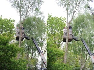 We maken een ooievaarsnest