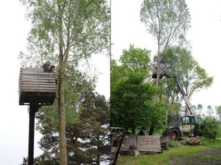 We maken een ooievaarsnest