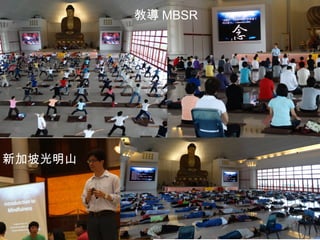 新加坡光明山 
教導MBSR 
 
