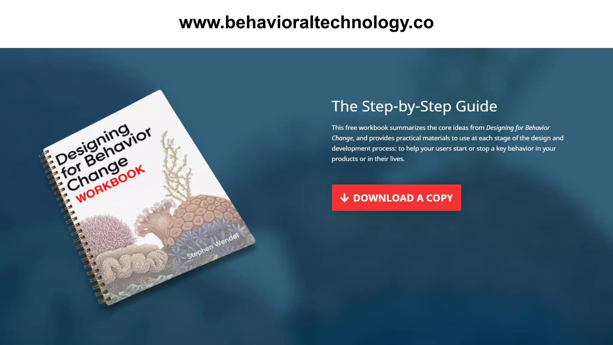 56
www.behavioraltechnology.co
 