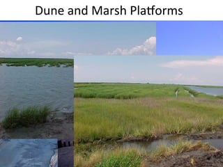 Dune	
  and	
  Marsh	
  Plahorms	
  
 