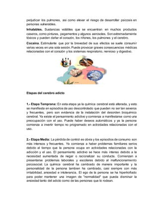 perjudicar los pulmones, asi como elevar el riesgo de desarrollar psicosis en
personas vulnerables.
Inhalables. Sustancias volátiles que se encuentran en muchos productos
caseros, como pinturas, pegamentos y algunos aerosoles. Son extremadamente
tóxicos y pueden dañar el corazón, los riñones, los pulmones y el cerebro.
Cocaína. Estimulante que por la brevedad de sus efectos se suele consumir
varias veces en una sola sesión. Puede provocar graves consecuencias médicas
relacionadas con el corazón y los sistemas respiratorio, nervioso y digestivo.
Etapas del cerebro adicto
1.- Etapa Temprana: En esta etapa ya la química cerebral está alterada, y esto
se manifiesta en episodios de uso descontrolado que pueden no ser tan severos
y frecuentes, pero son evidencia de la instalación del desorden bioquímico
cerebral. Ya existe el pensamiento adictivo y comienza a manifestarse como una
preocupación con el uso. Puede haber deseos automáticos y ya la persona
comienza a invertir tiempo no programado en actividades relacionadas con el
uso.
2.- Etapa Media: La pérdida de control es obvia y los episodios de consumo son
más intensos y frecuentes. Ya comienza a haber problemas familiares serios
debido al tiempo que la persona ocupa en actividades relacionadas con la
adicción y el uso. El pensamiento adictivo se hace más intenso debido a la
necesidad aumentada de negar o racionalizar su conducta. Comienzan a
presentarse problemas laborales y escolares debido al malfuncionamiento
psicosocial. La química cerebral ha cambiado de manera importante y la
personalidad de la persona tambien ha cambiado, casi siempre con más
irritabilidad, ansiedad e intolerancia. El ego de la persona se ha hipertrofiado
para poder mantener una imagen de "normalidad" que pueda disminuir la
ansiedad tanto del adicto como de las personas que lo rodean.
 