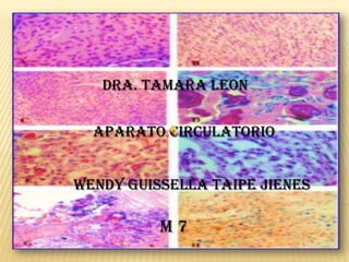 CATEDRA DE HISTOLOGIA
    Dra. Tamara Leon

   APARATO CIRCULATORIO


 WENDY GUISSELLA TAIPE JIENES

           M7
 