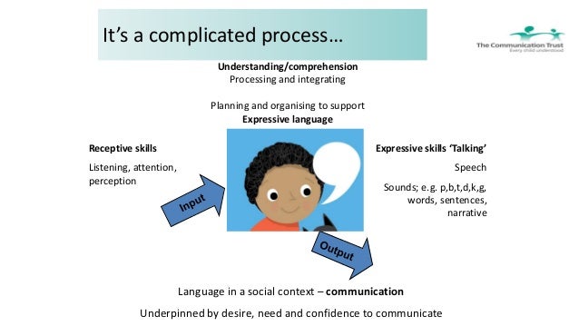 speech language and communication needs The focus of this early years section of the inclusion development programme (idp) is supporting children with speech, language and communication needs. speech language and communication needs The focus of this early years section of the inclusion development programme (idp) is supporting children with speech, language and communication needs.