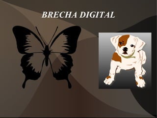 BRECHA DIGITAL
 