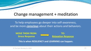 © The Calm Monkey Co. 2018
Change management + meditation
To help employees go deeper into self-awareness,
and be more conscious about their actions and behaviors.
MOVE THEM FROM: TO:
Stress Response Relaxation Response
This is when RESILIENCY and LEARNING can happen.
-22-
 