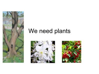 We need plants 